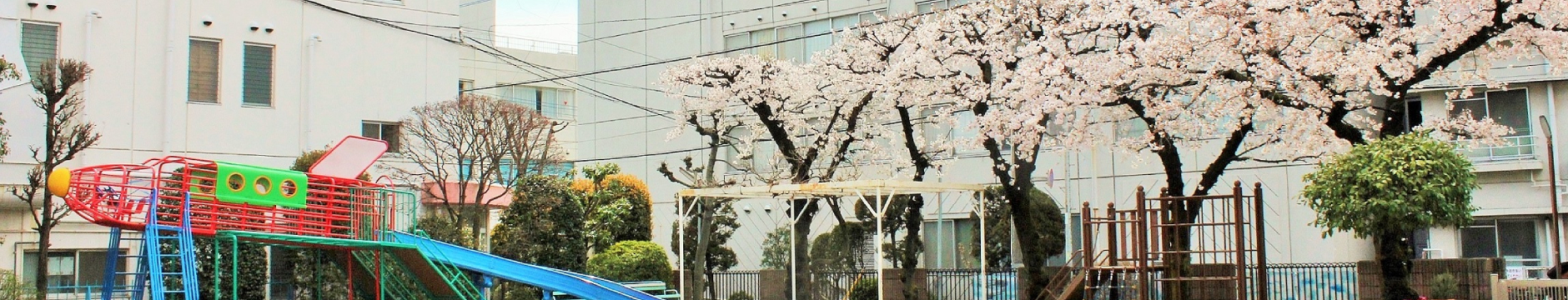 戸田幼稚園について